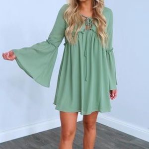 Sage Babydoll dress NWT